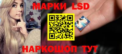 гашик Новокубанск