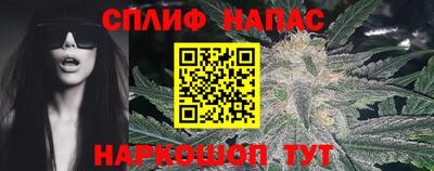 гашик Новокубанск
