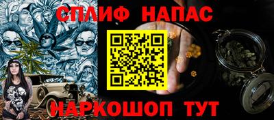 гашик Новокубанск
