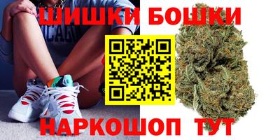 гашик Новокубанск
