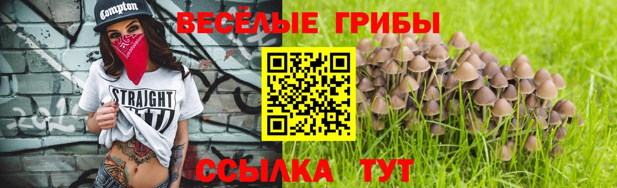 Сыктывкар  Псилоцибиновые грибы прущие грибы  Вход с VPN 
