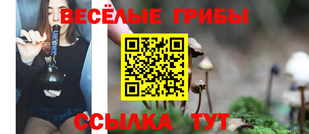 Галлюциногенные грибы ЛСД Сыктывкар